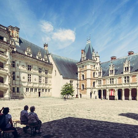 Gite De La Tour De Loire - 65 M2 Au Pied D'Une Tour De Gue Du 17Eme Siecle Mer Luaran gambar