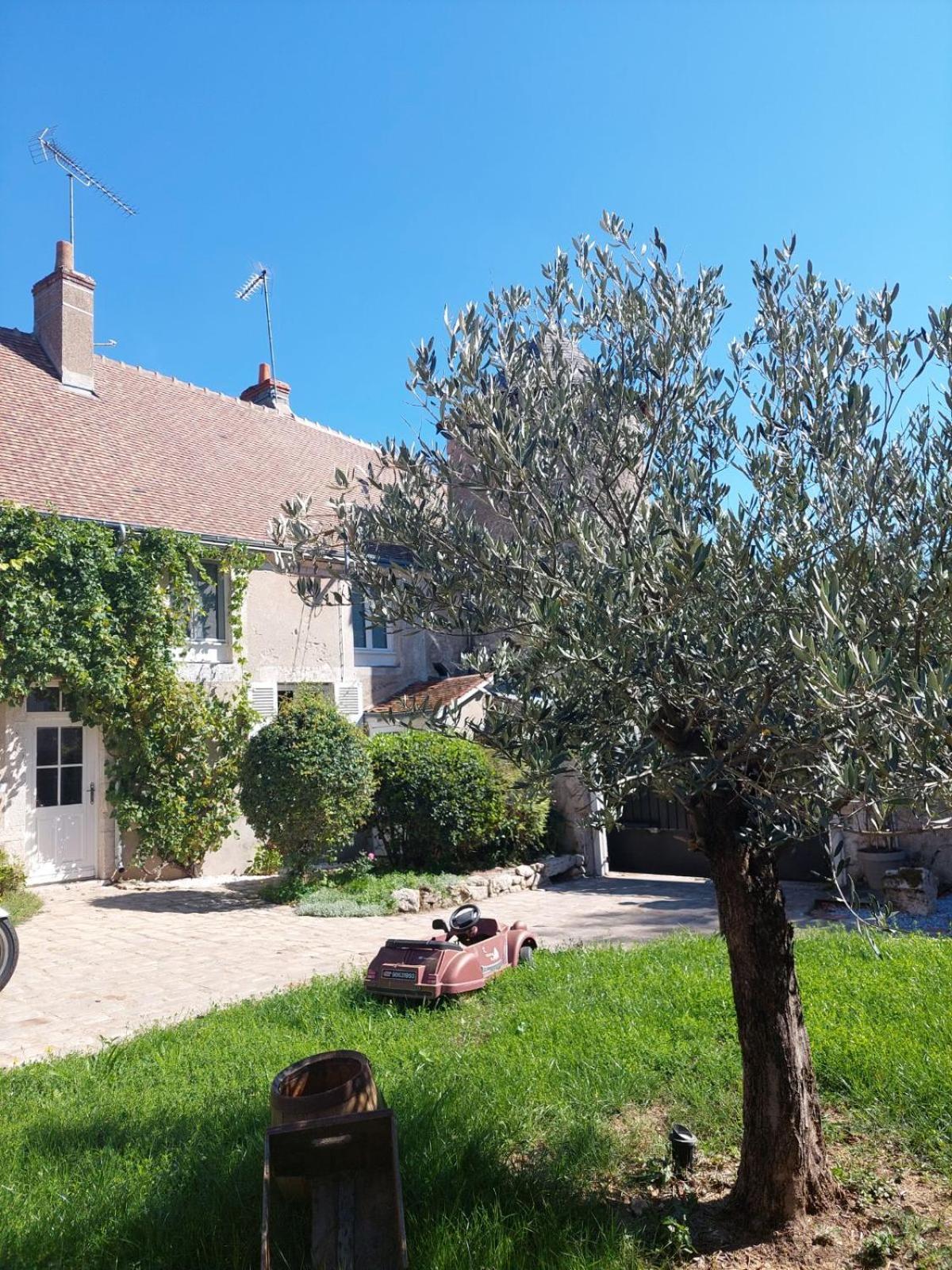 Gite De La Tour De Loire - 65 M2 Au Pied D'Une Tour De Gue Du 17Eme Siecle Mer Luaran gambar